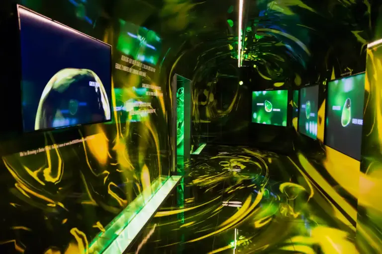 Heineken Experience slide 8