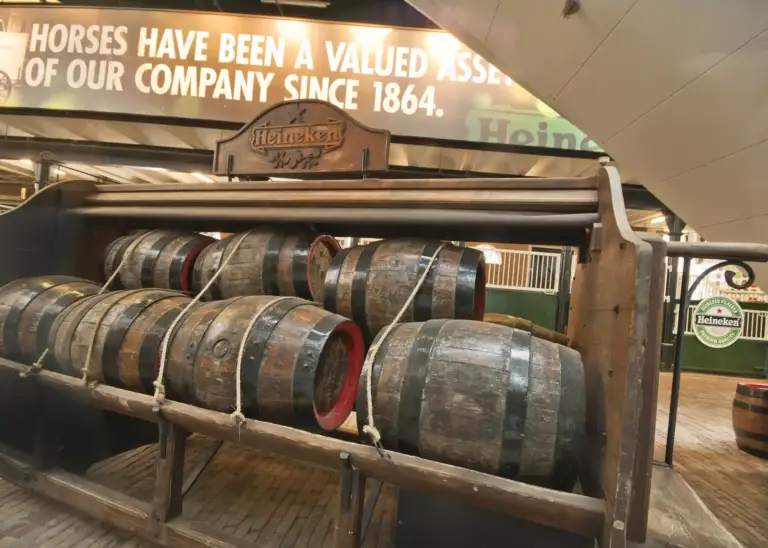 Heineken Experience slide 9